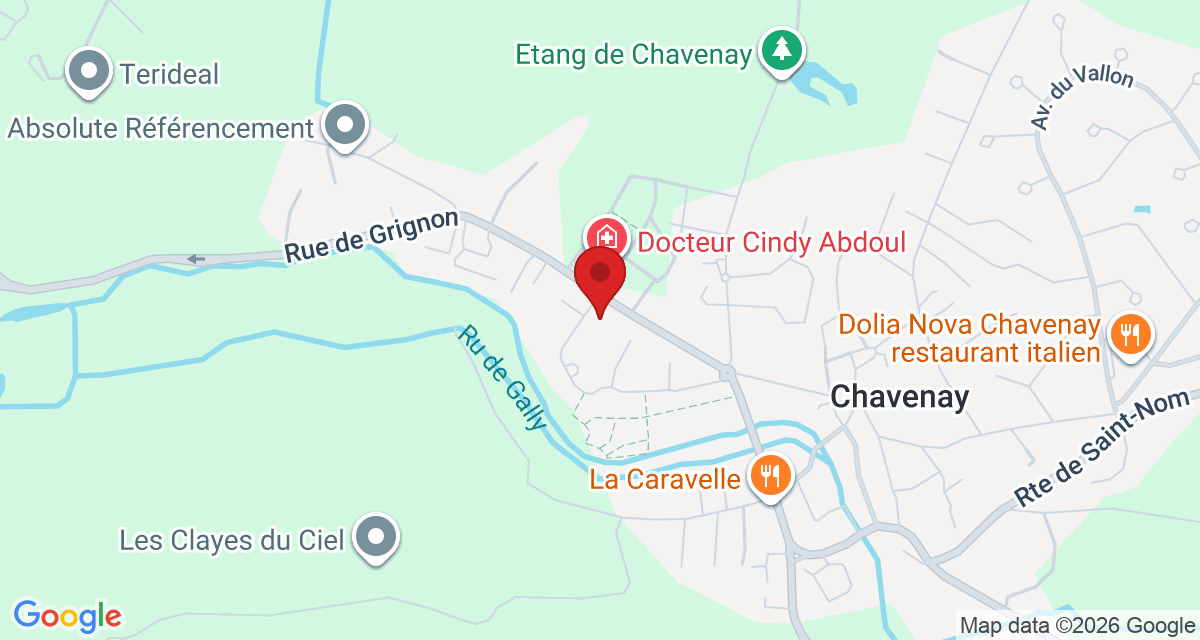 Carte de localisation Savelys Chavenay
